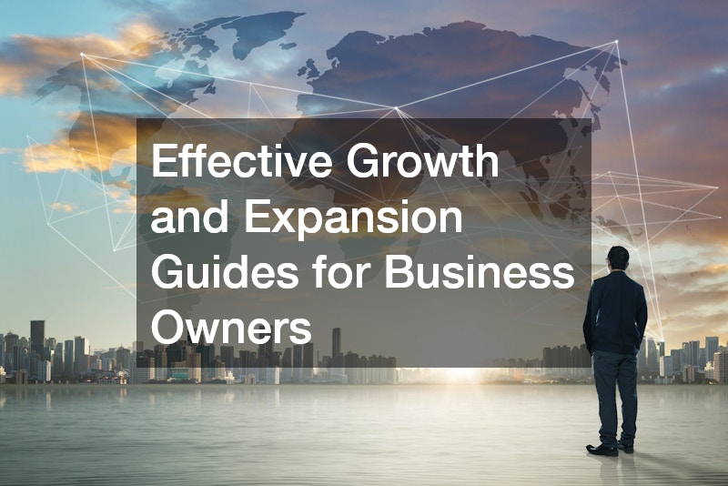 Effective Growth and Expansion Guides for Business Owners: Strategies for Success